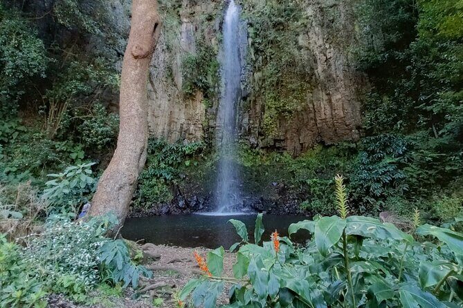 Funchal: Pico do Arieiro to Santana and Ponta de Sao Lorenco - A Deep Dive into the Madeira Full-Day Tour