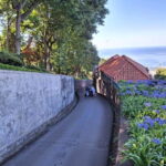 Funchal: Private Cable Car, Toboggan, and Skywalk Tour - The Complete Picture: A Detailed Review of the Funchal Private Cable Car, Toboggan, and Skywalk Tour