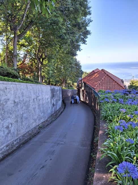 Funchal: Private Cable Car, Toboggan, and Skywalk Tour - The Complete Picture: A Detailed Review of the Funchal Private Cable Car, Toboggan, and Skywalk Tour