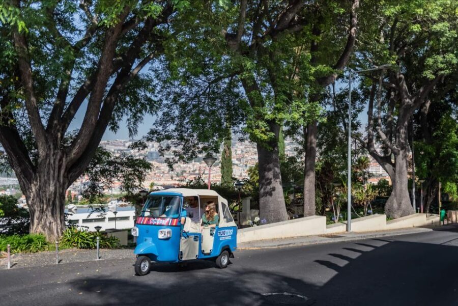 Funchal: Private Customizable Guided Tour by Tuk-Tuk - Why Choose This Tour?