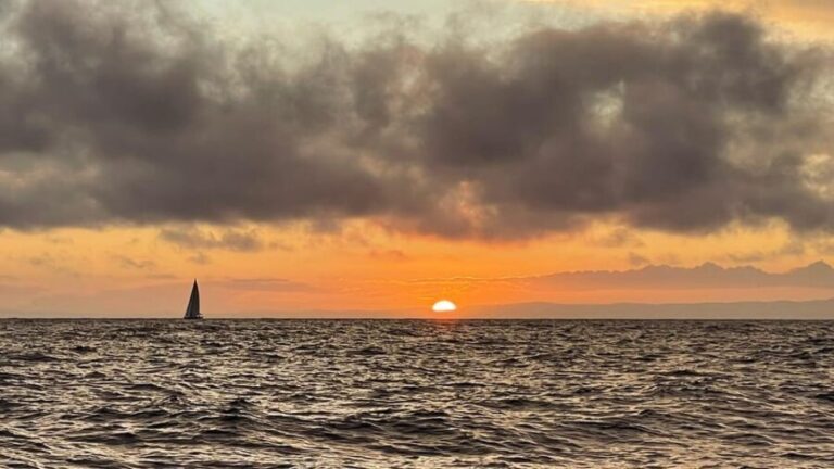 Funchal: Private Sailing Sunrise, Sunset & Moonlight Cruises - Final Thoughts