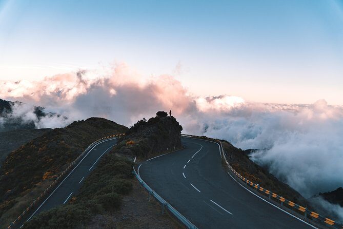 Funchal Private Vehicle Service with Driver for a Half Day or Full Day - Who Is This Tour Best For?
