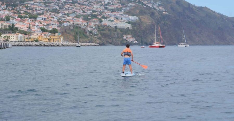 Funchal: Standup Paddle - The Sum Up: Who Should Consider This Tour?