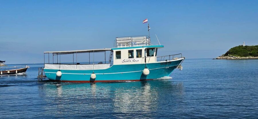 Funtana: Dolphin safari, drinks included - A Closer Look at the Experience