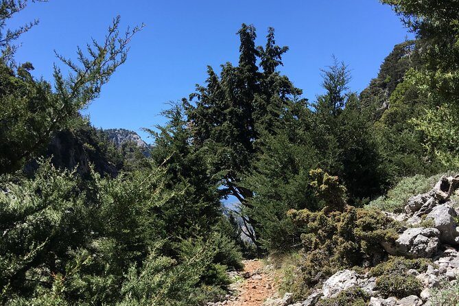 Fygou and Agia Irini Gorge Loop Half Day Hiking Tour - Final Thoughts: Who Is This Tour For?