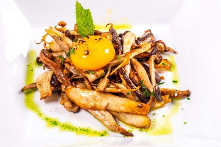 GASTRONOMIC MUSHROOM EXPERIENCE. Tour not included - The Sum Up