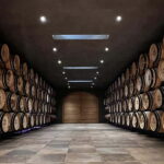 Geneva Countryside, Wine Tasting, Aperitif, Castle By E-bike - The Value of This Tour