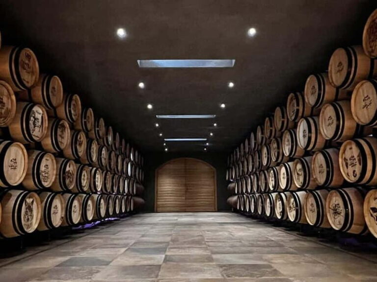 Geneva Countryside, Wine Tasting, Aperitif, Castle By E-bike - The Value of This Tour