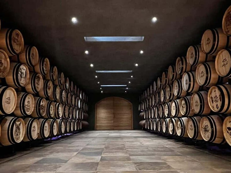 Geneva Countryside, Wine Tasting, Aperitif, Castle By E-bike - The Value of This Tour