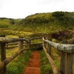 Geotour - Terceira Island: Explore the Caves - Who Will Enjoy This Tour?