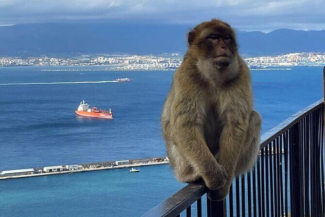 Gibraltar Private Daytrip From Sevilla - Exploring Gibraltar’s Top Attractions