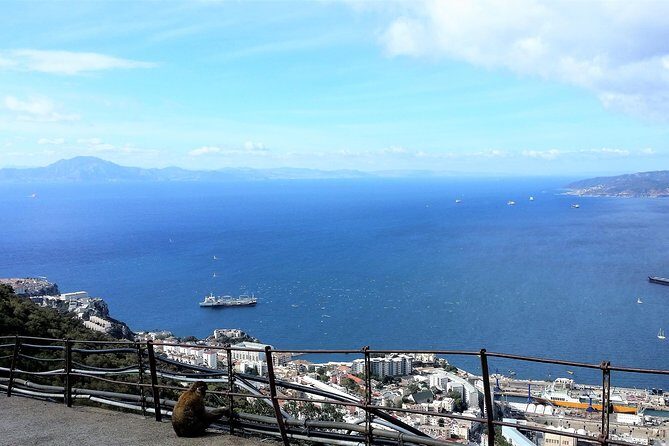 Gibraltar private trip from Marbella or Malaga - The Sum Up