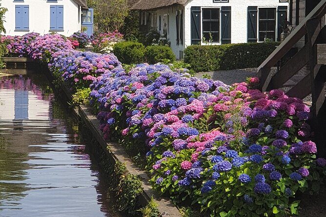 Giethoorn Day Tour from Amsterdam with Small Boat Ride - Authentic Experiences & Honest Feedback