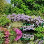 Giverny Auvers Van Gogh Private Guided Day Tour from Paris - FAQ