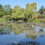Giverny Half Day Guided Trip with Monet's House & Gardens from Paris by minivan - Why Choose This Tour?