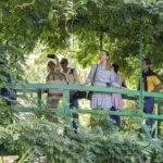 Giverny Monet's Gardens Entrance Ticket with Transport from Paris - Final Thoughts