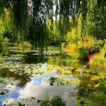Giverny & Monet's House Audio Guided Half-day Tour from Paris - How Well Does it Value for Money?