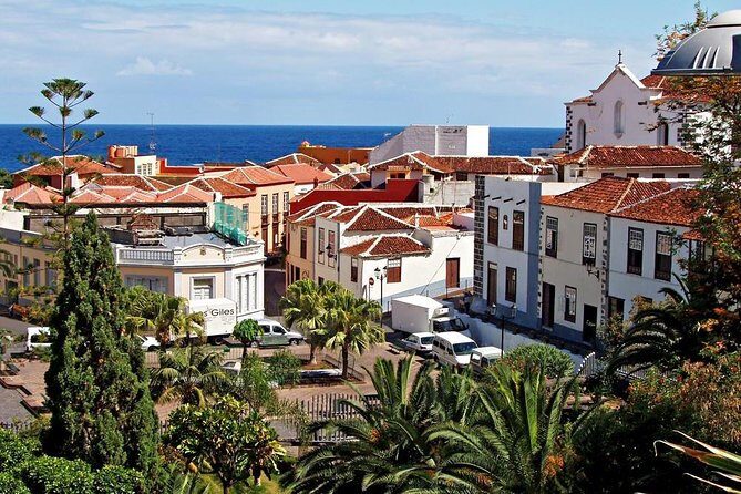 Go West - VIP Private Tour in Tenerife to Masca, Garachico and Icod - The Practical Side: What You Need to Know