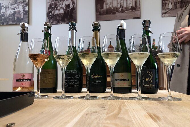 Gold Champagne Experience from Reims (Private Full day tour) - Exploring the Champagne Region: A Detailed Journey