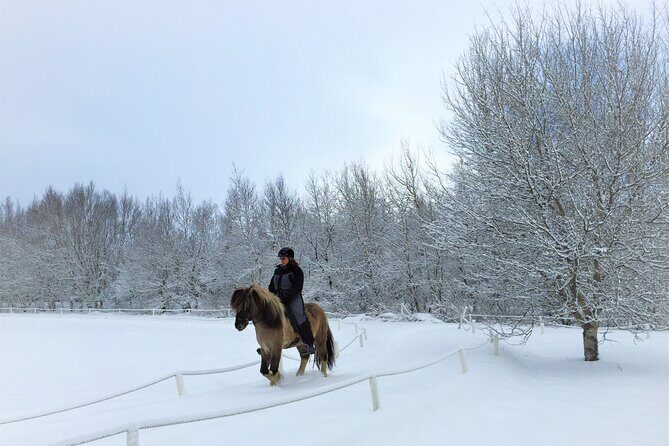 Golden Circle, Fridheimar Farm & Horses Small Group Tour from Reykjavik - The Real Value of This Tour