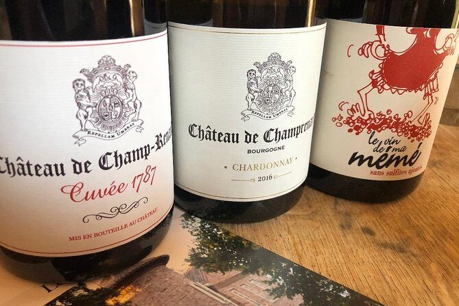 Gourmet walk in the gardens of Château Champ-Renard - Who Should Consider This Tour?