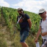 Gourmet walk in the heart of the vineyards with Champagne tasting near Epernay - Who Will Love This Tour?