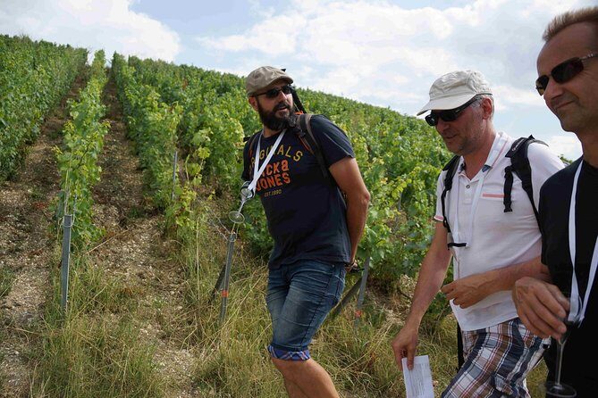 Gourmet walk in the heart of the vineyards with Champagne tasting near Epernay - Who Will Love This Tour?