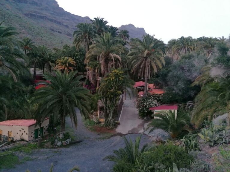 Gran Canaria: Camel Ride at Camel Safari Park - Visiting the Park and Its Animal Friends