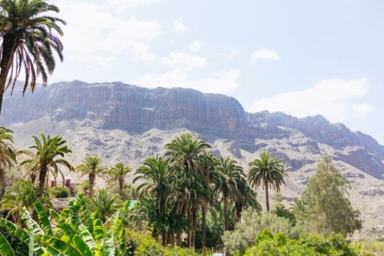 Gran Canaria: Camel Ride Safari w/ Optional Food & Transport - A Deep Dive into the Camel Ride Safari Experience
