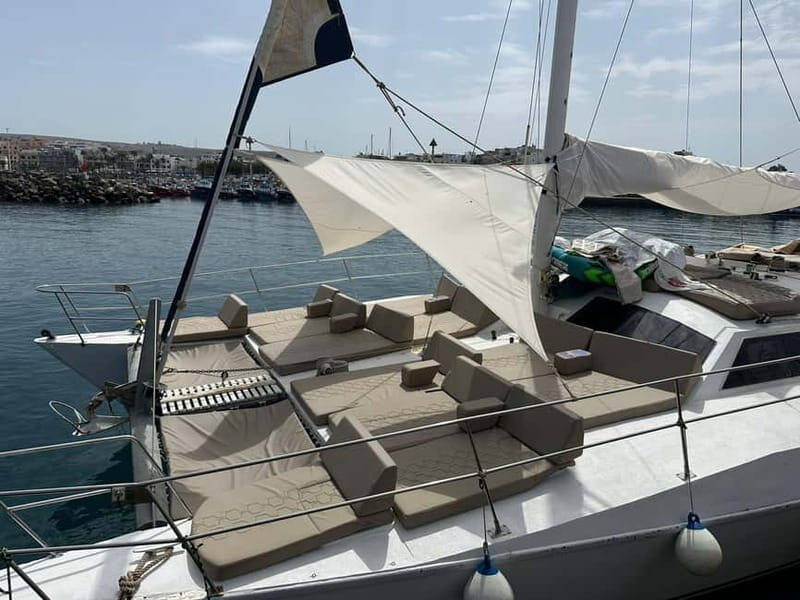 Gran Canaria: Catamaran Tour with Lunch and Drinks - Practical Details to Keep in Mind