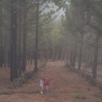 Gran Canaria: Full-Day Customizable Private Photography Tour - Final Thoughts