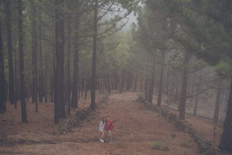 Gran Canaria: Full-Day Customizable Private Photography Tour - Final Thoughts