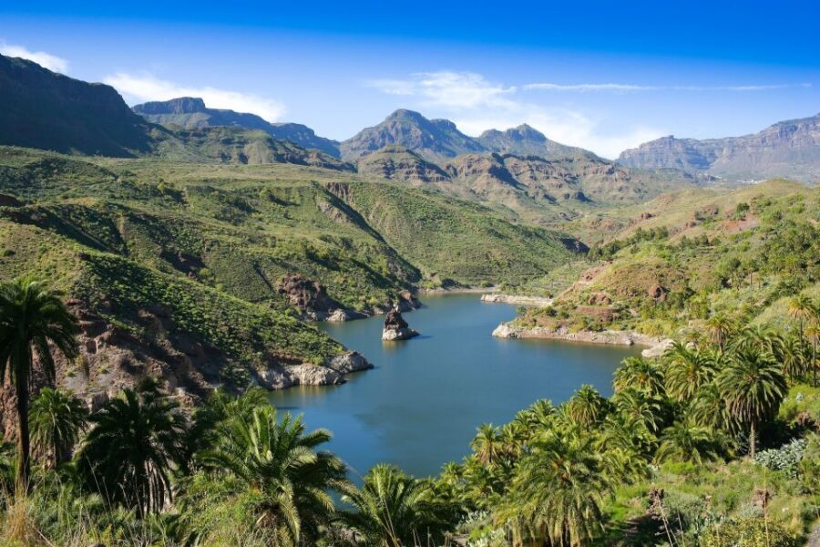 Gran Canaria: Full-Day VIP Tour by Bus - Authenticity and Value