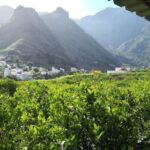Gran Canaria: Grand Island Tour by Bus with Transfers - What to Expect: Comfort, Convenience, and a Busy Day