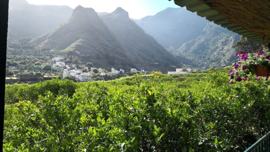 Gran Canaria: Grand Island Tour by Bus with Transfers - What to Expect: Comfort, Convenience, and a Busy Day