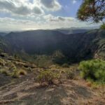 Gran Canaria: Highlights Wine Tasting Tour & shore excursion - The Value of This Tour