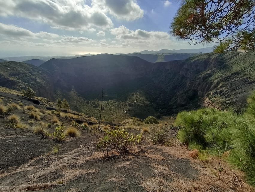 Gran Canaria: Highlights Wine Tasting Tour & shore excursion - The Value of This Tour