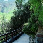 Gran Canaria Historical Tour - Authentic Insights from Travelers