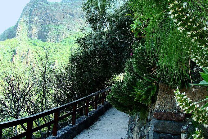 Gran Canaria Historical Tour - Authentic Insights from Travelers