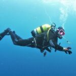 Gran Canaria: Morning Scuba Dive - What Makes This Experience Stand Out