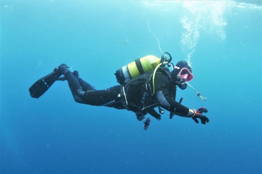 Gran Canaria: Morning Scuba Dive - What Makes This Experience Stand Out