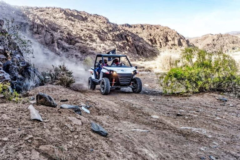 Gran Canaria: Off-Road Buggy Adventure in the Canyons - Final Thoughts: Why You Should Consider This Tour