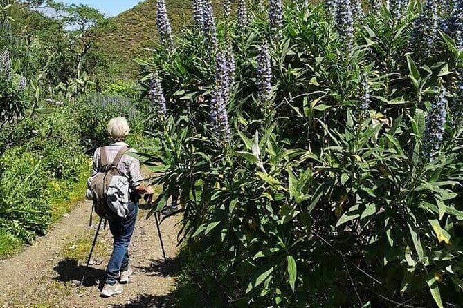 Gran Canaria private walks - Why Choose a Private Guided Walk on Gran Canaria?