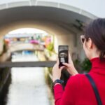 Gran Canaria - Puerto de Mogán & Market - An In-Depth Look at the Puerto de Mogán & Market Tour