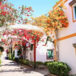Gran Canaria: Puerto de Mogán Trip with 1-Way Boat Ride - The Details of the Tour