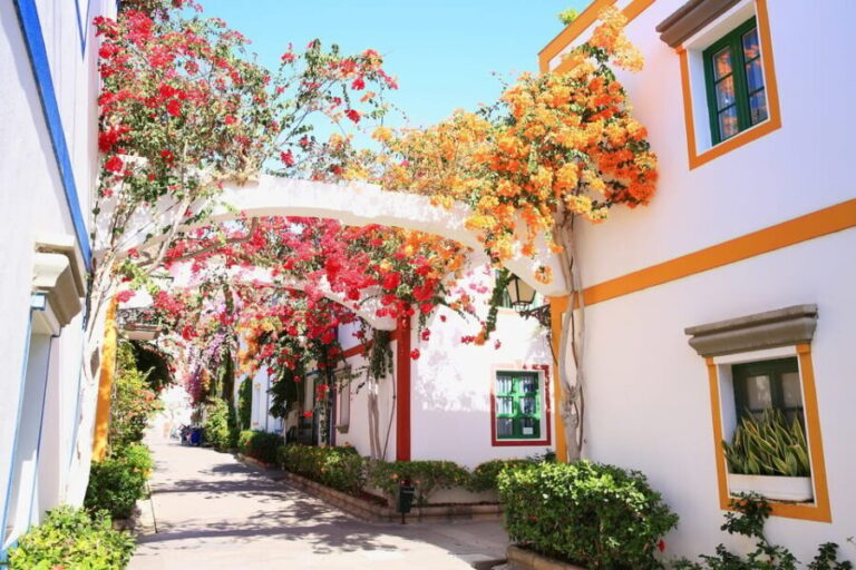 Gran Canaria: Puerto de Mogán Trip with 1-Way Boat Ride - The Details of the Tour