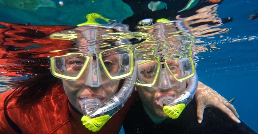 Gran Canaria: Snorkel tour with boat on the west coast - The Itinerary: What To Expect