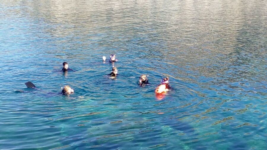 Gran Canaria: Snorkeling Trip - The Marine Environment of Gran Canaria
