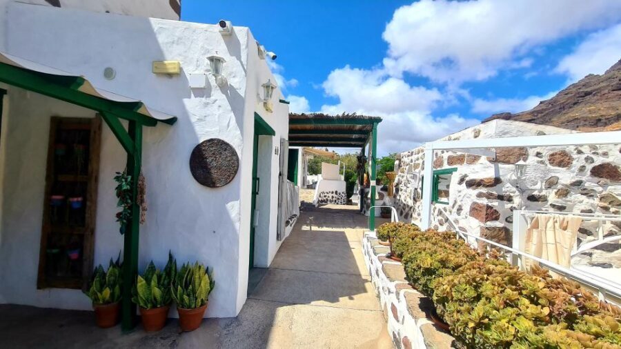 Gran Canaria: Tasting wine & local cheese in Mogan - Detailed Breakdown of the Itinerary