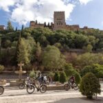 Granada: Albaicin and Sacromonte E-Bike Tour - Who Should Consider This Tour?